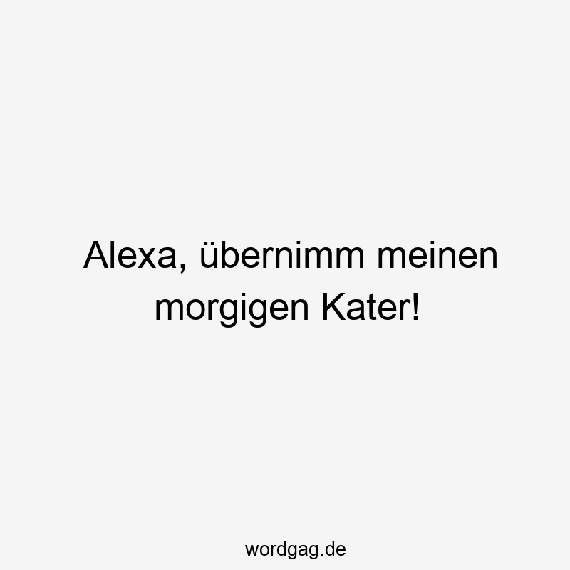 Alexa, Ăźbernimm meinen morgigen Kater!