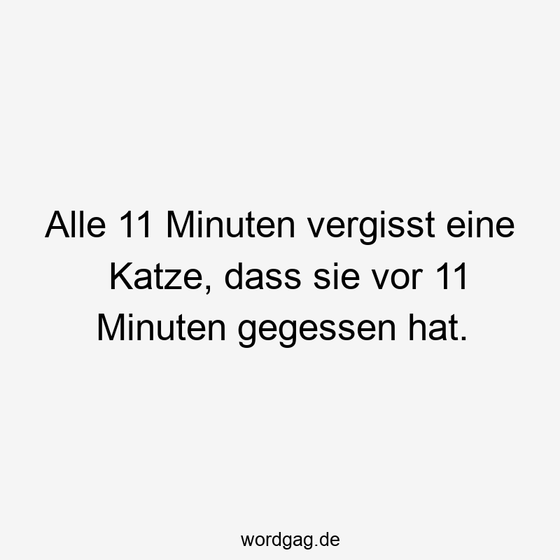 Alle 11 Minuten vergisst eine Katze, dass sie vor 11 Minuten gegessen hat.