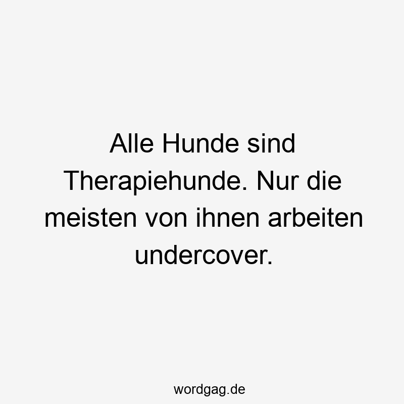 Alle Hunde sind Therapiehunde. Nur die meisten von ihnen arbeiten undercover.