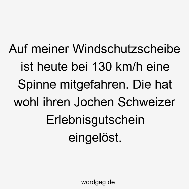 Auf meiner Windschutzscheibe ist heute bei 130 km/h eine Spinne mitgefahren. Die hat wohl ihren Jochen Schweizer Erlebnisgutschein eingelöst.