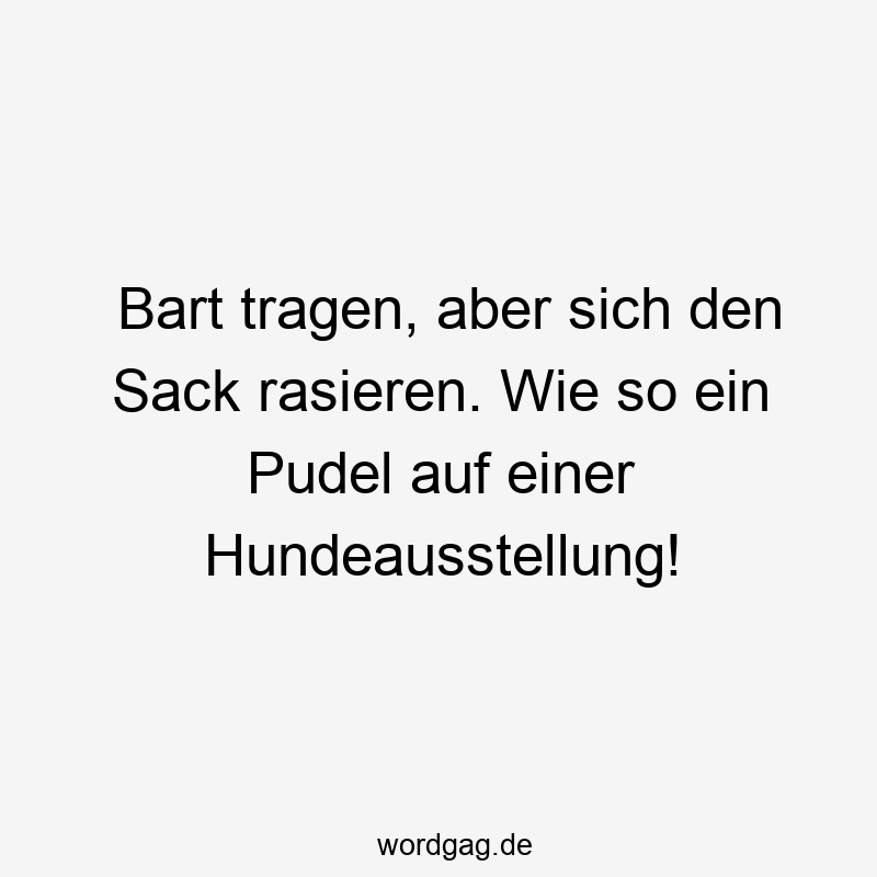 Lustige Sprüche: Sack - Bart tragen, aber sich den Sack rasieren. Wie so ein Pudel auf einer Hundeausstellung!