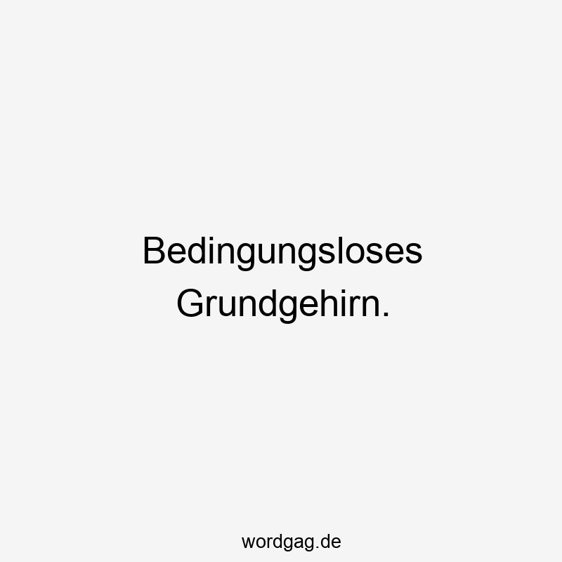 Bedingungsloses Grundgehirn.