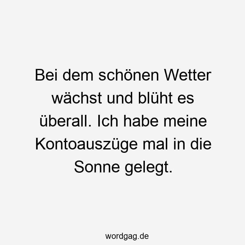 Lustige blühen Sprüche - Bei dem schönen Wetter wächst und blüht es überall. Ich habe meine Kontoauszüge mal in die Sonne gelegt.