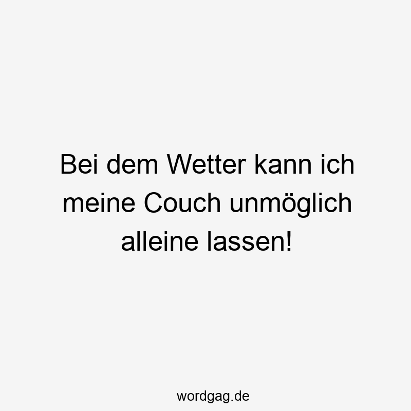 195 Lustige lassen Sprüche - Bei dem Wetter kann ich meine Couch unmöglich alleine lassen!