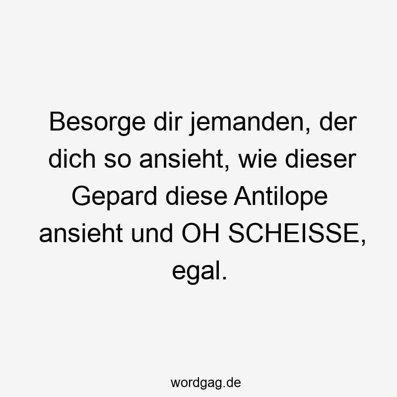 Besorge dir jemanden, der dich so ansieht, wie dieser Gepard diese Antilope ansieht und OH SCHEISSE, egal.