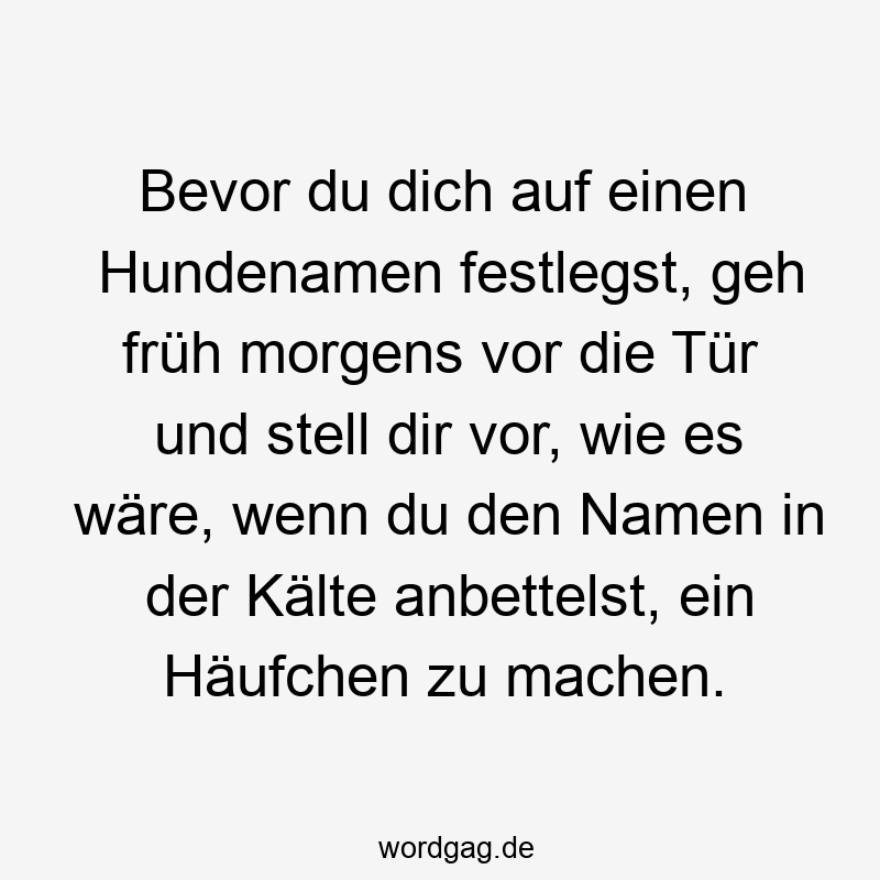 Bevor du dich auf einen Hundenamen festlegst, geh früh morgens vor die Tür und stell dir vor, wie es wäre, wenn du den Namen in der Kälte anbettelst, ein Häufchen zu machen.