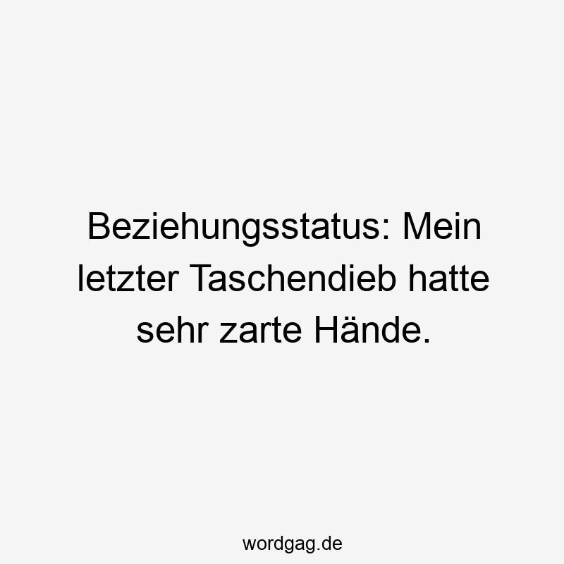 Beziehungsstatus: Mein letzter Taschendieb hatte sehr zarte Hände.