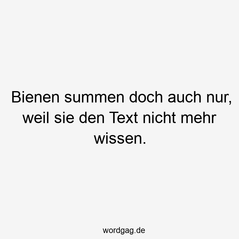 Lustige Sprüche: Text - Bienen summen doch auch nur, weil sie den Text nicht mehr wissen.
