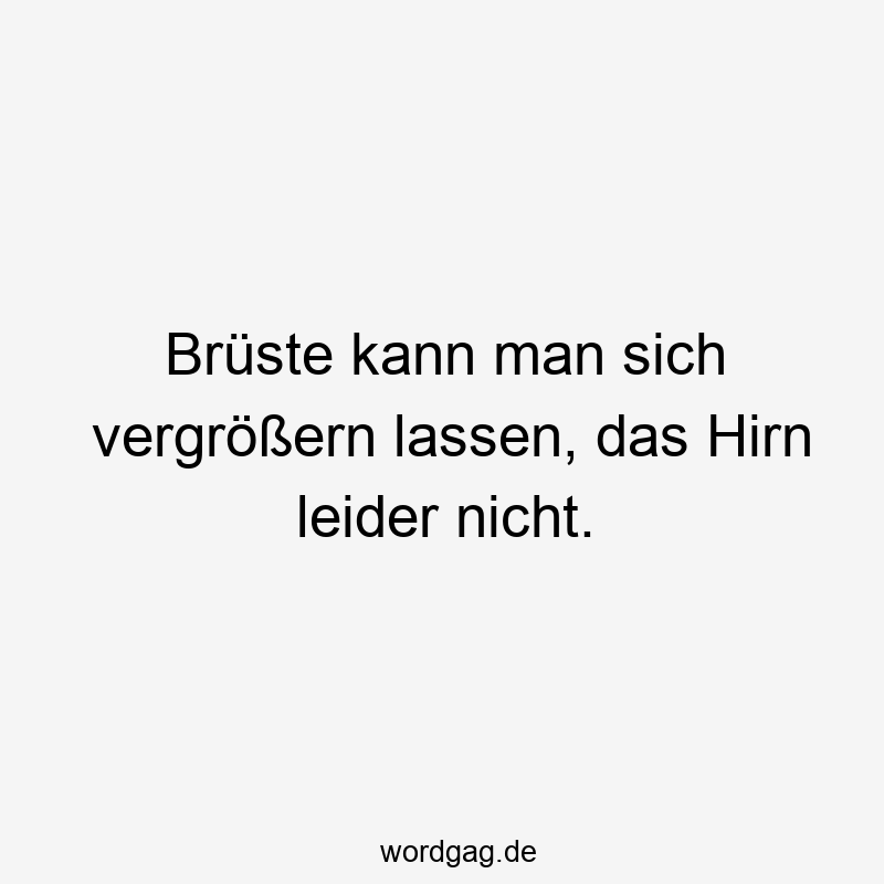 195 Lustige lassen Sprüche - Brüste kann man sich vergrößern lassen, das Hirn leider nicht.