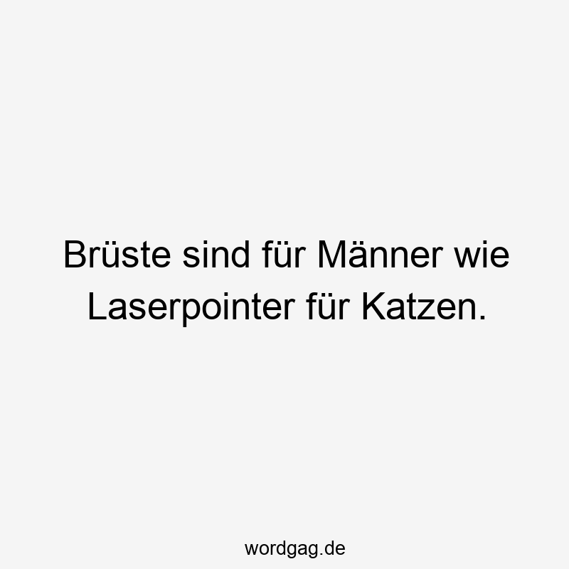 Brüste sind für Männer wie Laserpointer für Katzen.