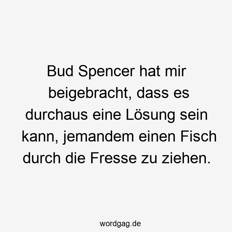 Bud Spencer hat mir beigebracht, dass es durchaus eine Lösung sein kann, jemandem einen Fisch durch die Fresse zu ziehen.