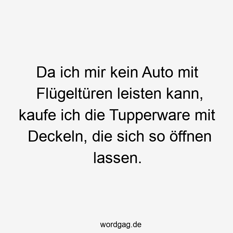 23 Lustige leisten Sprüche - Da ich mir kein Auto mit Flügeltüren leisten kann, kaufe ich die Tupperware mit Deckeln, die sich so öffnen lassen.