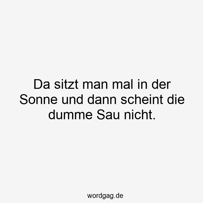 Lustige Sprüche: Sau - Da sitzt man mal in der Sonne und dann scheint die dumme Sau nicht.