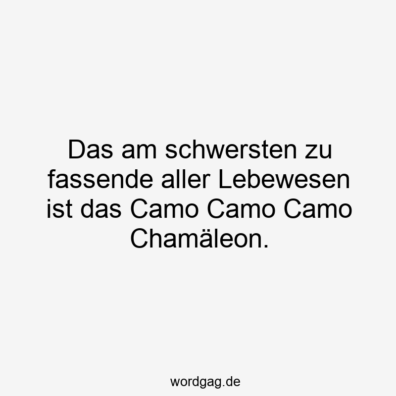 Das am schwersten zu fassende aller Lebewesen ist das Camo Camo Camo Chamäleon.