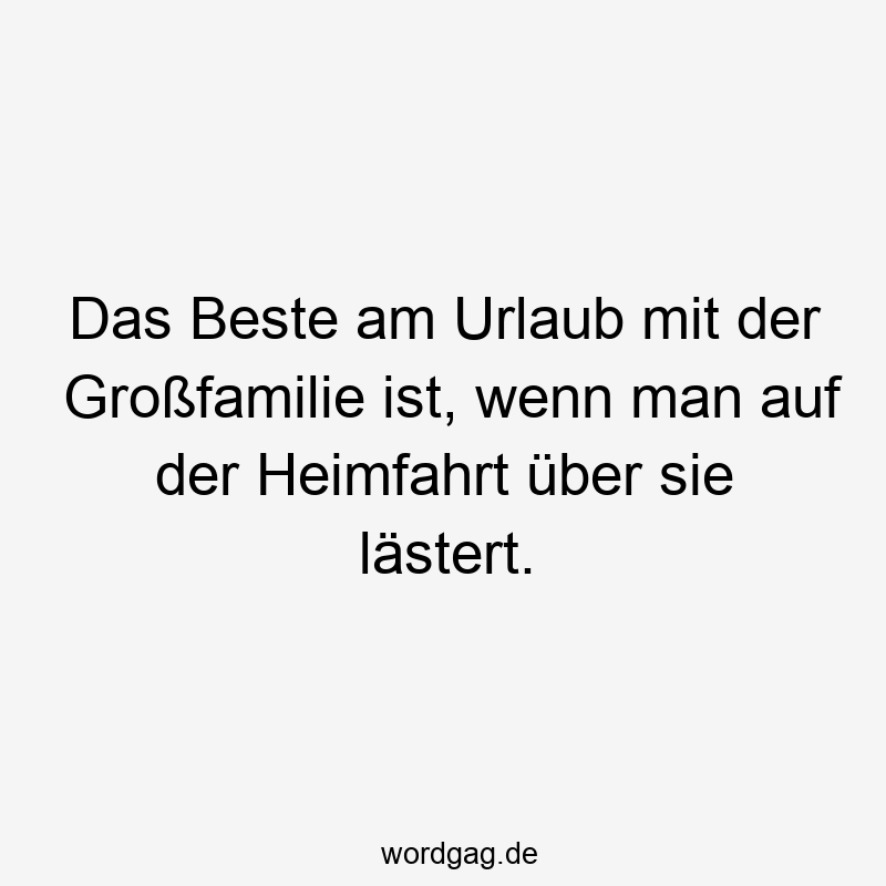 Das Beste am Urlaub mit der Großfamilie ist, wenn man auf der Heimfahrt über sie lästert.