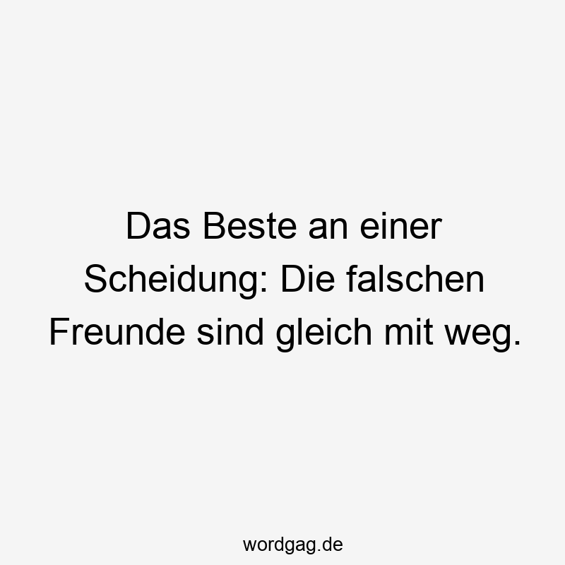 Das Beste an einer Scheidung: Die falschen Freunde sind gleich mit weg.