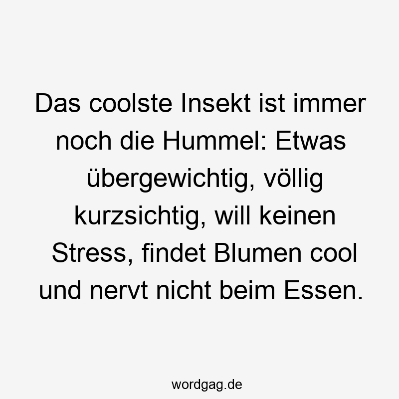 57 Lustige Nerven Sprüche - Das coolste Insekt ist immer noch die Hummel: Etwas übergewichtig, völlig kurzsichtig, will keinen Stress, findet Blumen cool und nervt nicht beim Essen.