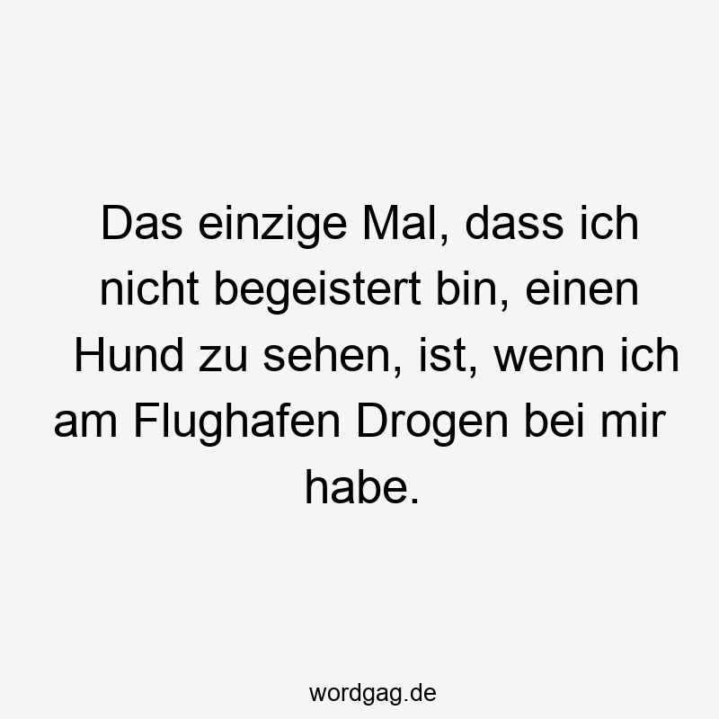 Das einzige Mal, dass ich nicht begeistert bin, einen Hund zu sehen, ist, wenn ich am Flughafen Drogen bei mir habe.