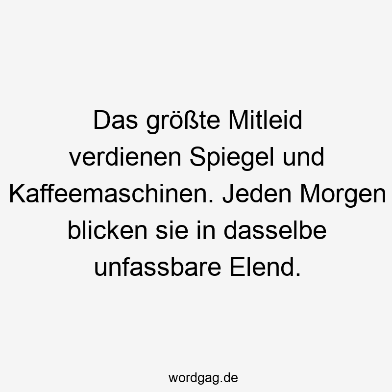 Das größte Mitleid verdienen Spiegel und Kaffeemaschinen. Jeden Morgen blicken sie in dasselbe unfassbare Elend.