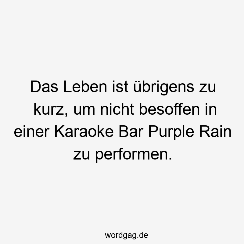 Das Leben ist übrigens zu kurz, um nicht besoffen in einer Karaoke Bar Purple Rain zu performen.