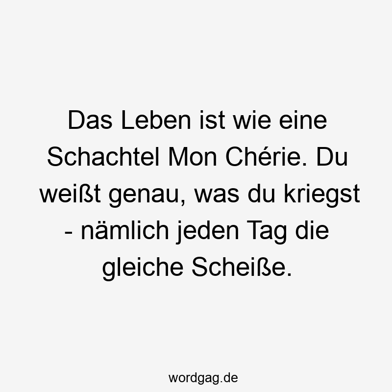 Lustige Sprüche: Alltag - Das Leben ist wie eine Schachtel Mon Chérie. Du weißt genau, was du kriegst – nämlich jeden Tag die gleiche Scheiße.