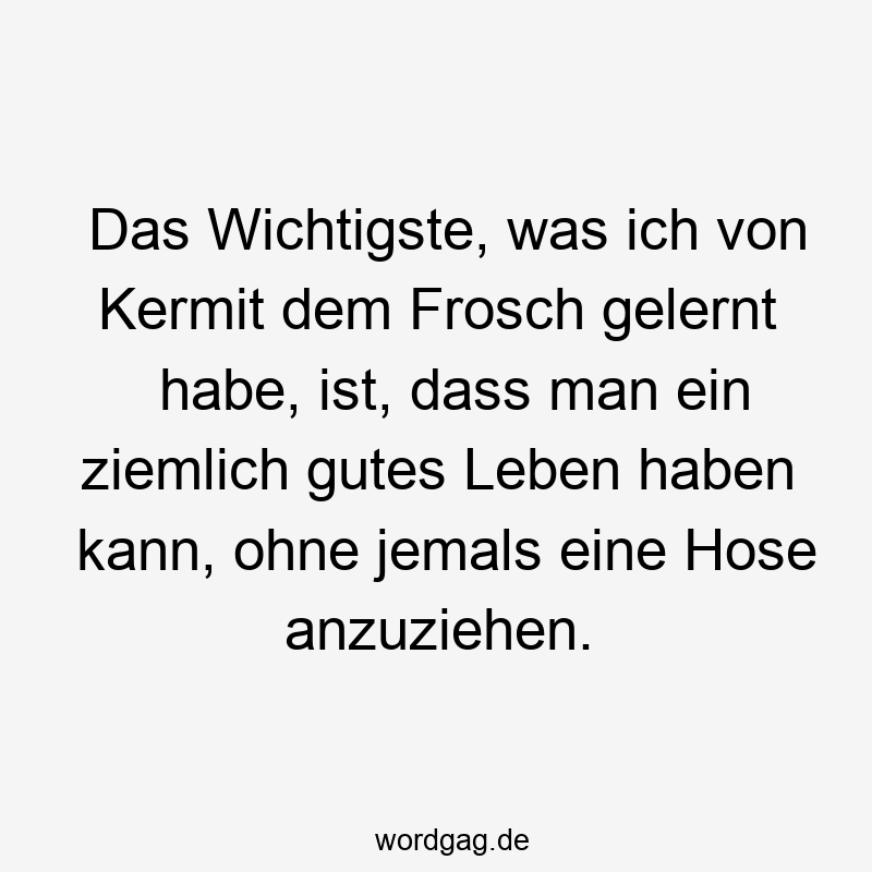 156 Lustige Freiheit Sprüche - Das Wichtigste, was ich von Kermit dem Frosch gelernt habe, ist, dass man ein ziemlich gutes Leben haben kann, ohne jemals eine Hose anzuziehen.