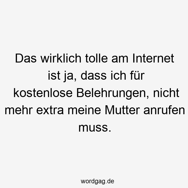 24 Lustige Tolle Sprüche - Das wirklich tolle am Internet ist ja, dass ich für kostenlose Belehrungen, nicht mehr extra meine Mutter anrufen muss.