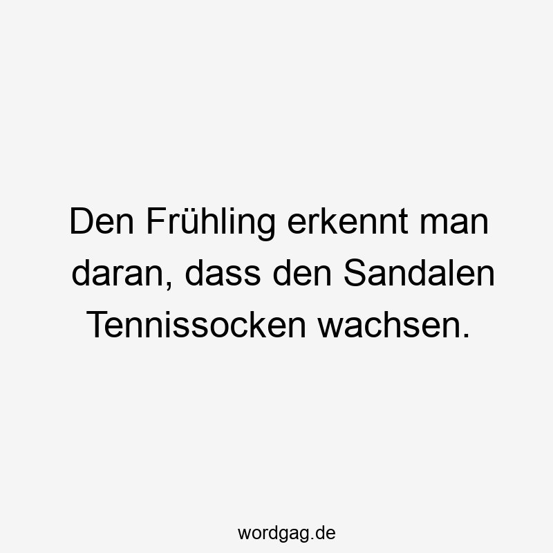 Den Frühling erkennt man daran, dass den Sandalen Tennissocken wachsen.