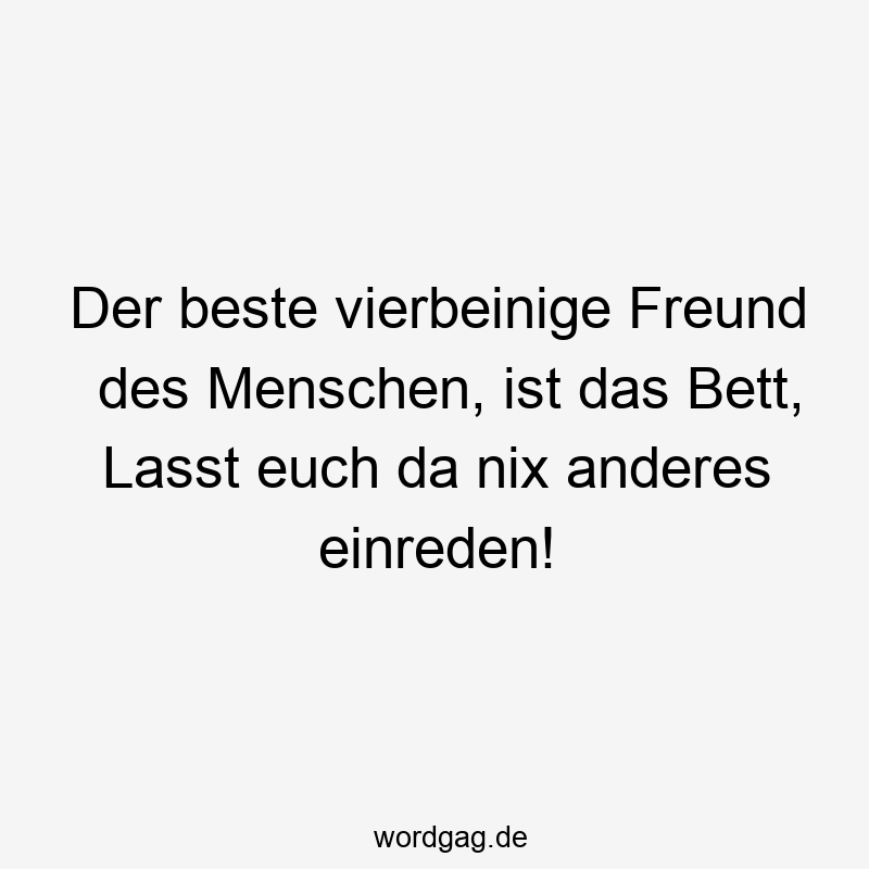 Der beste vierbeinige Freund des Menschen, ist das Bett, Lasst euch da nix anderes einreden!