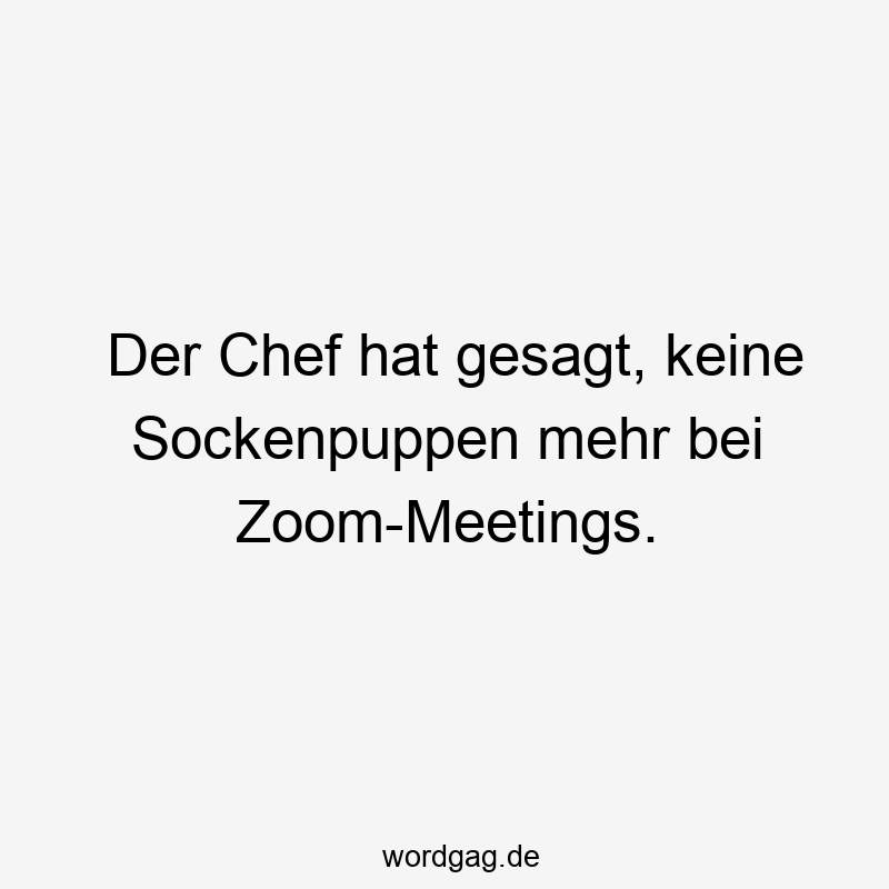 Der Chef hat gesagt, keine Sockenpuppen mehr bei Zoom-Meetings.