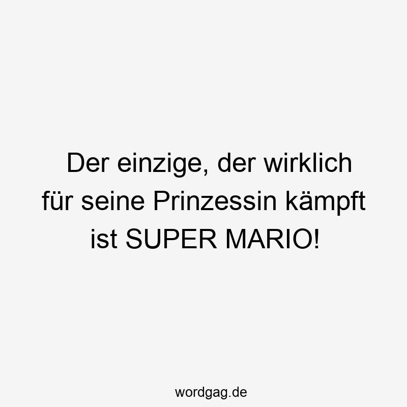 Der einzige, der wirklich für seine Prinzessin kämpft ist SUPER MARIO!