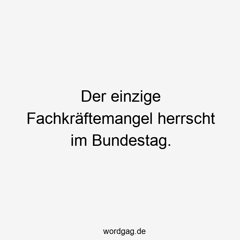 Der einzige Fachkräftemangel herrscht im Bundestag.