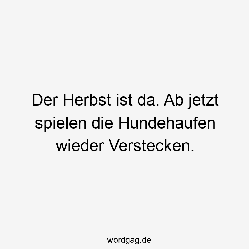 Der Herbst ist da. Ab jetzt spielen die Hundehaufen wieder Verstecken.