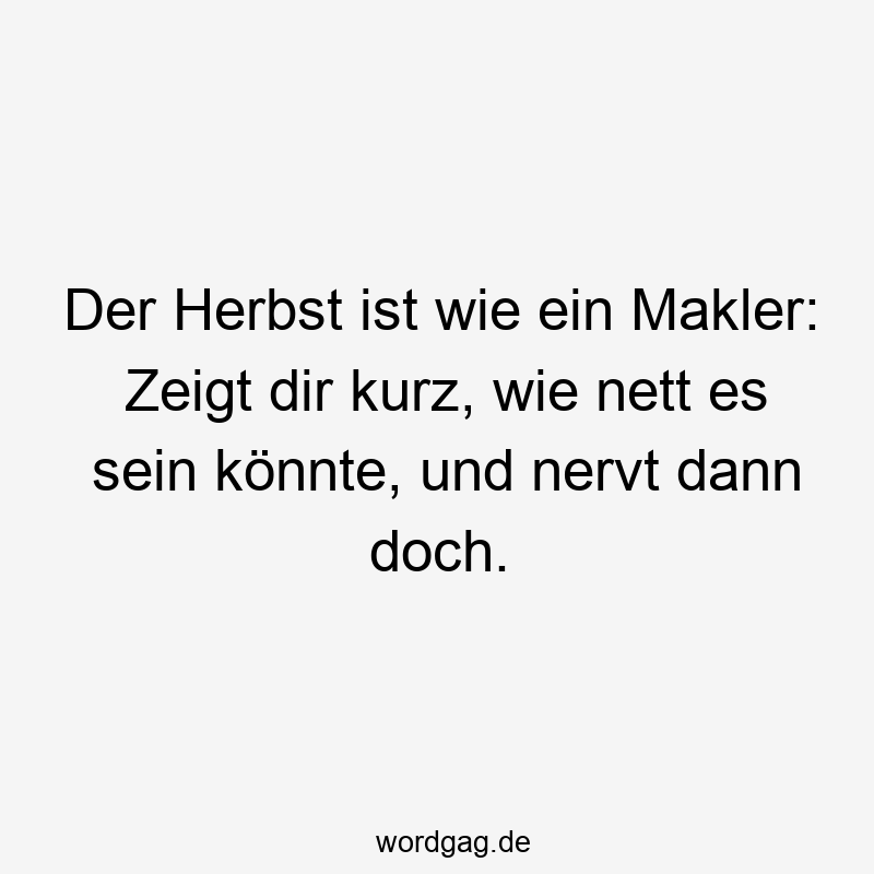 57 Lustige Nerven Sprüche - Der Herbst ist wie ein Makler: Zeigt dir kurz, wie nett es sein könnte, und nervt dann doch.