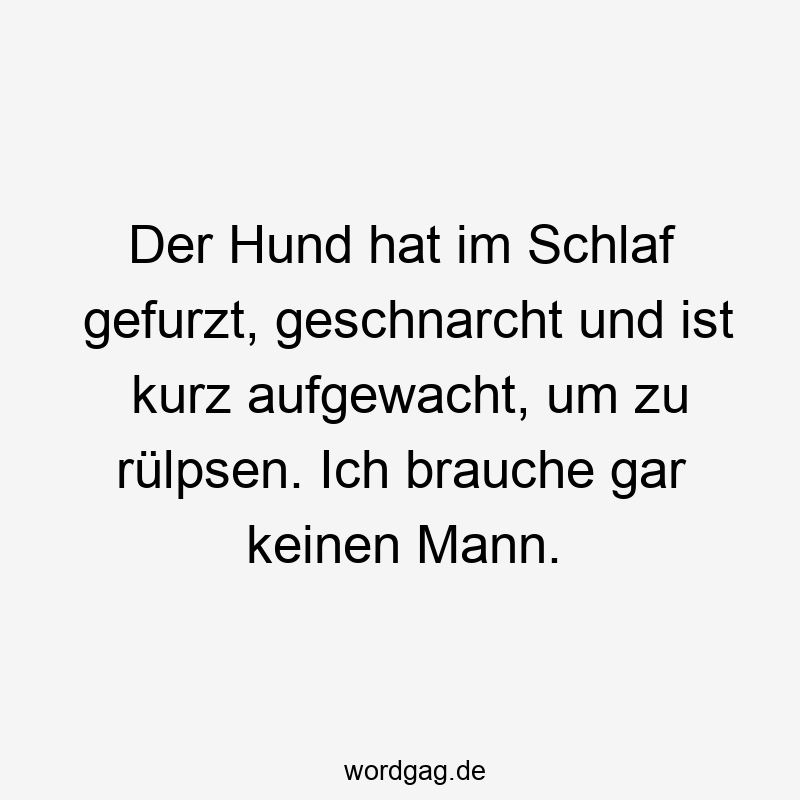 Der Hund hat im Schlaf gefurzt, geschnarcht und ist kurz aufgewacht, um zu rülpsen. Ich brauche gar keinen Mann.