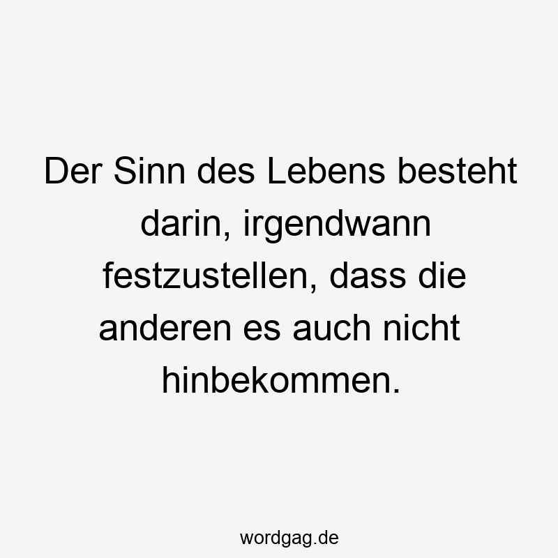 Der Sinn des Lebens besteht darin, irgendwann festzustellen, dass die anderen es auch nicht hinbekommen.
