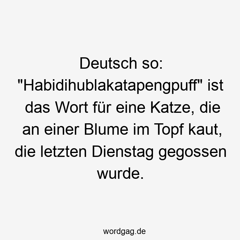 Deutsch so: „Habidihublakatapengpuff“ ist das Wort für eine Katze, die an einer Blume im Topf kaut, die letzten Dienstag gegossen wurde.