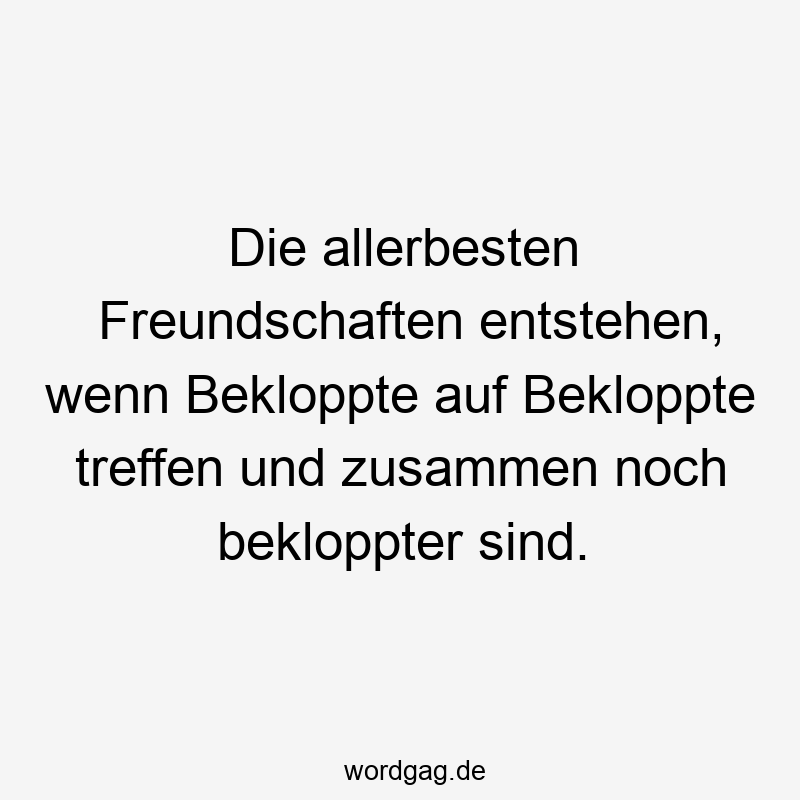 Die allerbesten Freundschaften entstehen, wenn Bekloppte auf Bekloppte treffen und zusammen noch bekloppter sind.