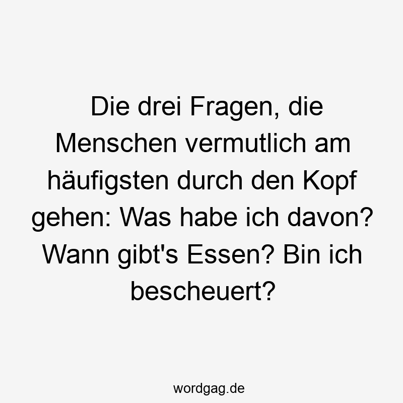 Lustige Sprüche: Fragen - Die drei Fragen, die Menschen vermutlich am häufigsten durch den Kopf gehen: Was habe ich davon? Wann gibt’s Essen? Bin ich bescheuert?
