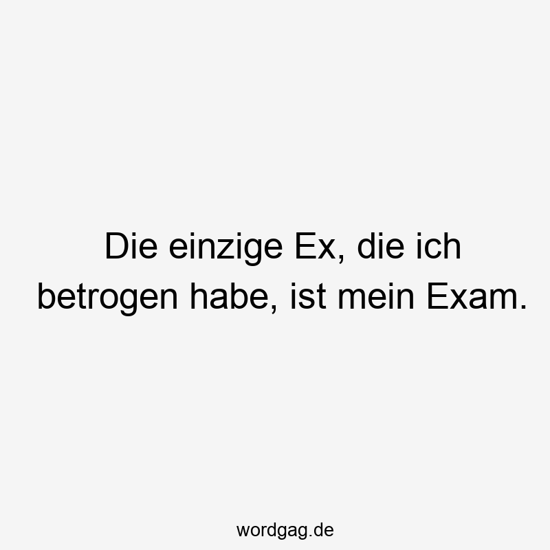 Die einzige Ex, die ich betrogen habe, ist mein Exam.