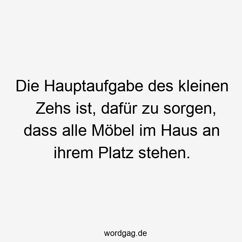 Die Hauptaufgabe des kleinen Zehs ist, dafür zu sorgen, dass alle Möbel im Haus an ihrem Platz stehen.