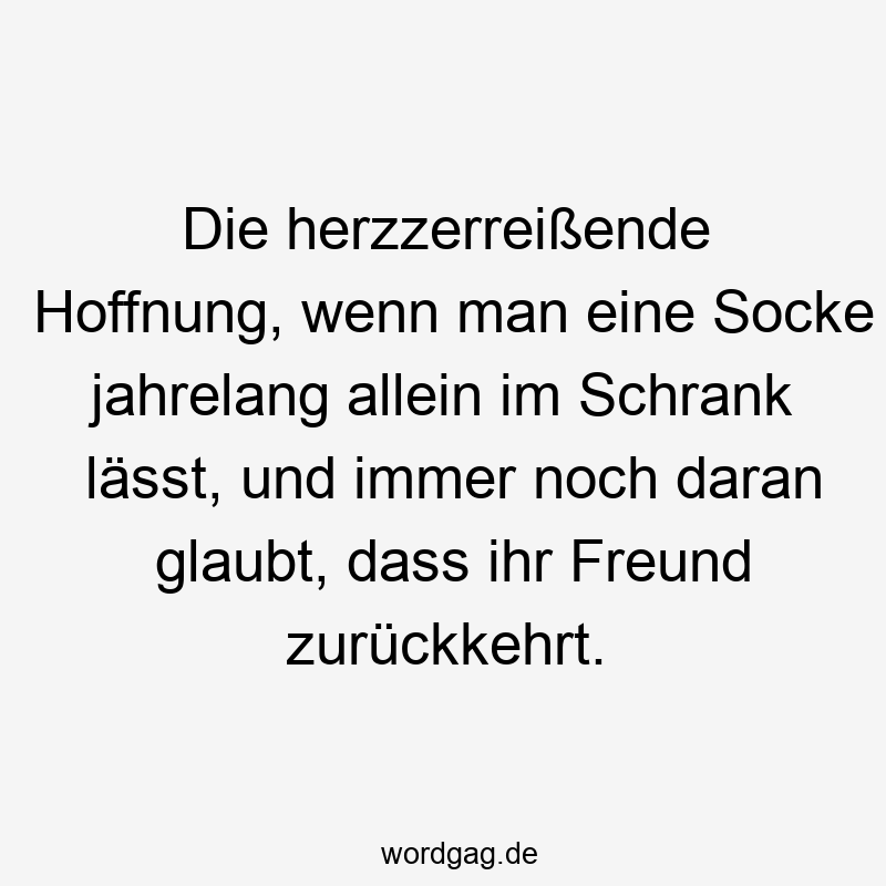 Die herzzerreißende Hoffnung, wenn man eine Socke jahrelang allein im Schrank lässt, und immer noch daran glaubt, dass ihr Freund zurückkehrt.