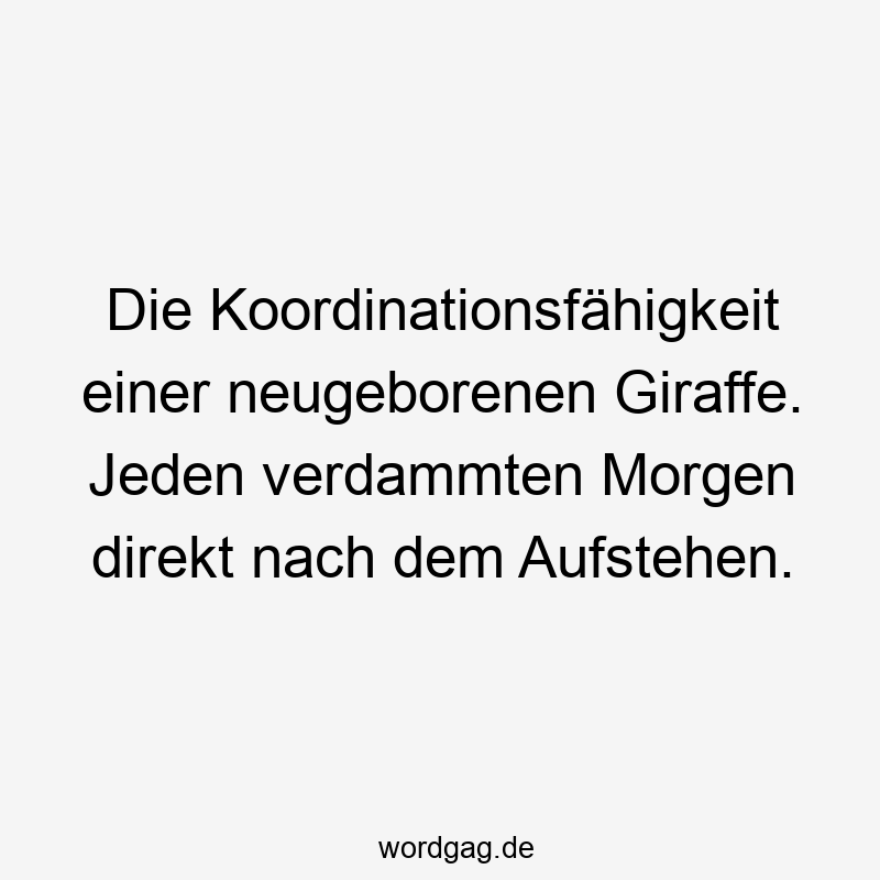 Lustige Sprüche: direkt - Die Koordinationsfähigkeit einer neugeborenen Giraffe. Jeden verdammten Morgen direkt nach dem Aufstehen.