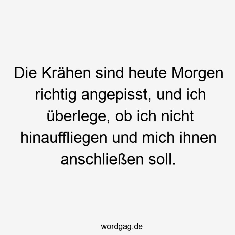 Die Krähen sind heute Morgen richtig angepisst, und ich überlege, ob ich nicht hinauffliegen und mich ihnen anschließen soll.