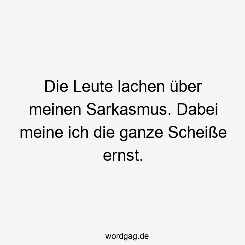 Die Leute lachen über meinen Sarkasmus. Dabei meine ich die ganze Scheiße ernst.