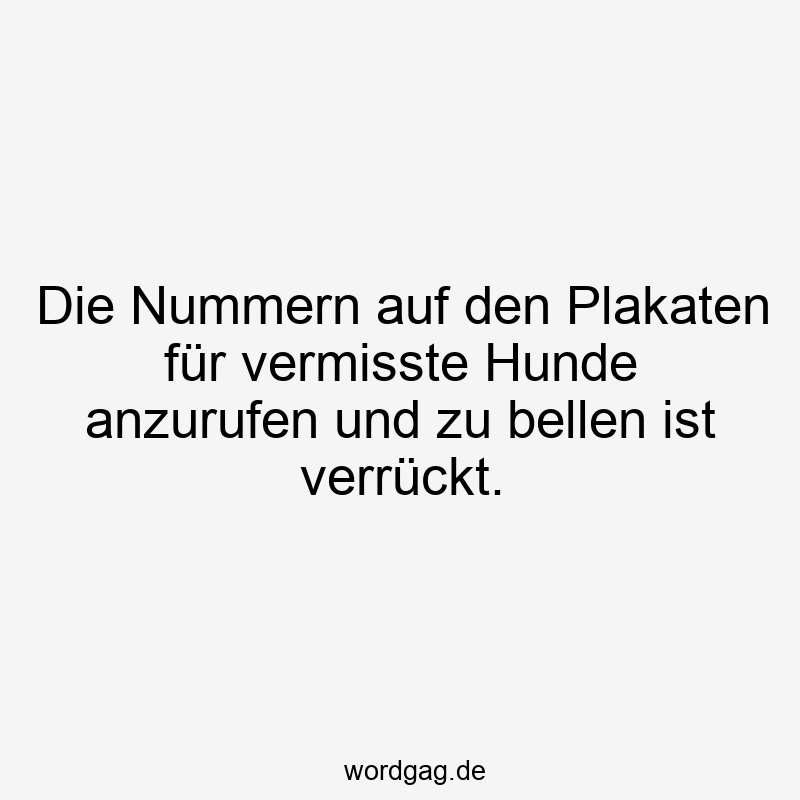 Die Nummern auf den Plakaten für vermisste Hunde anzurufen und zu bellen ist verrückt.