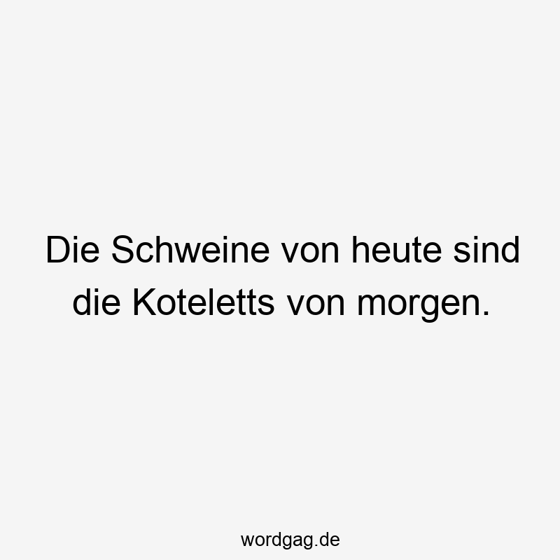 Die Schweine von heute sind die Koteletts von morgen.