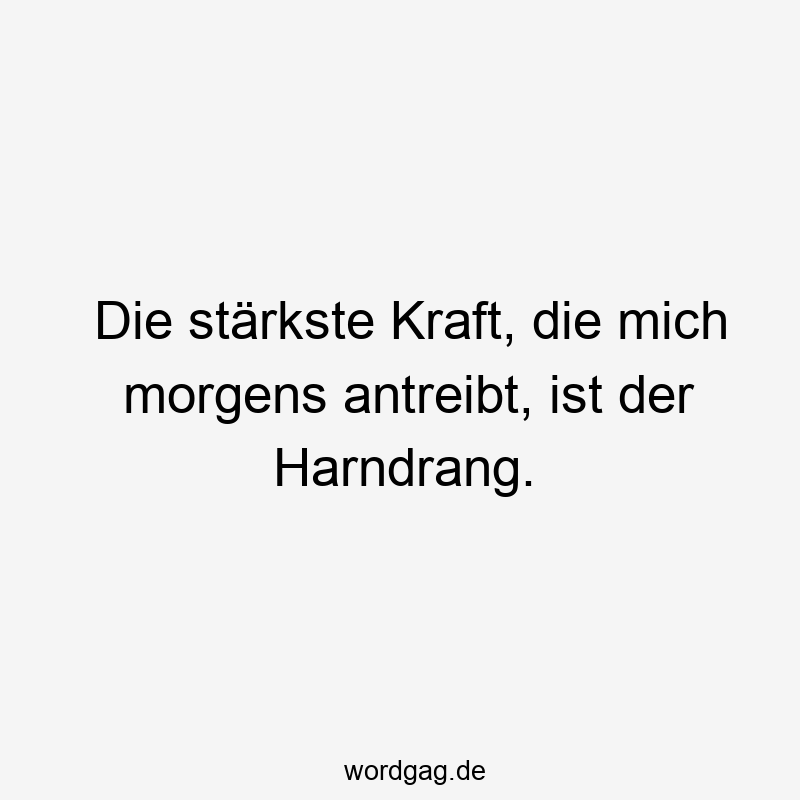 Die stärkste Kraft, die mich morgens antreibt, ist der Harndrang.