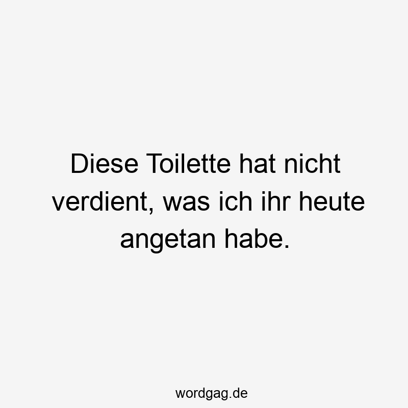 Diese Toilette hat nicht verdient, was ich ihr heute angetan habe.