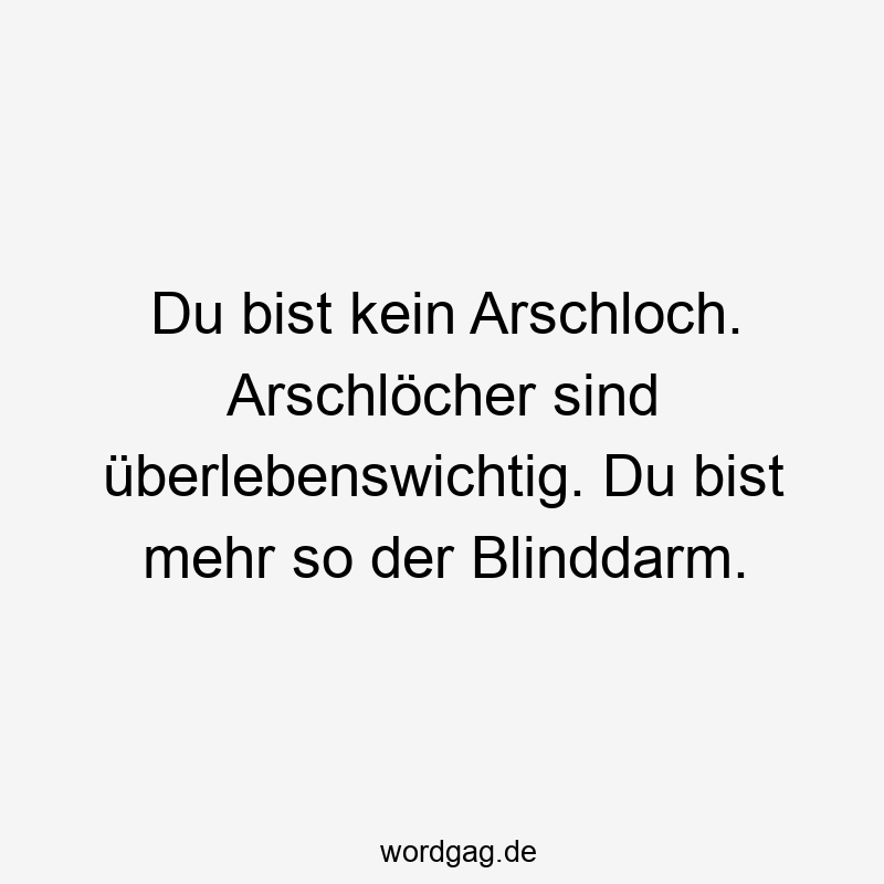 Du bist kein Arschloch. Arschlöcher sind überlebenswichtig. Du bist mehr so der Blinddarm.